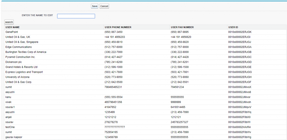 SALESFORCE CONSULTANTS ASSISTED BY THE EDITING LOCKING MECHANISM SALESFORCE OBJECT DETAIL